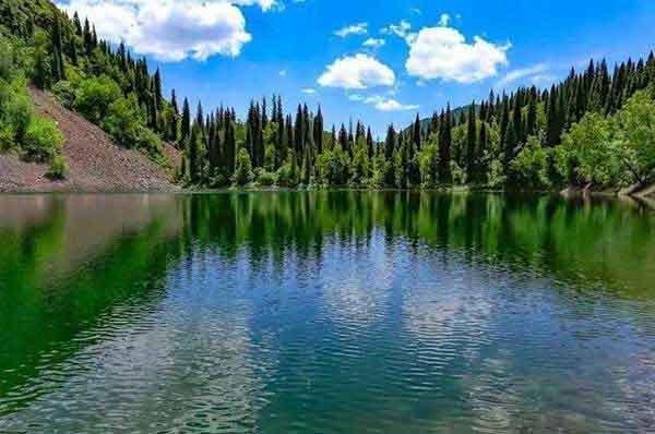 深圳滅蟑公司專業(yè)指導(dǎo)家庭滅蟑、滅蟻