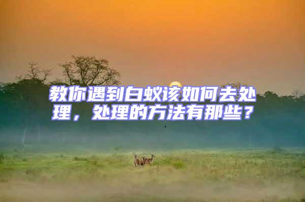 教你遇到白蟻該如何去處理，處理的方法有那些？