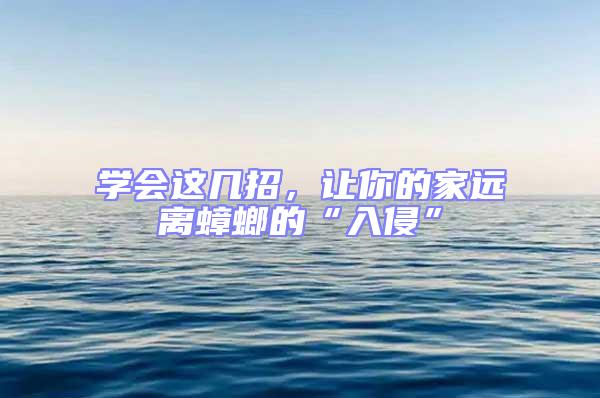 學(xué)會(huì)這幾招，讓你的家遠(yuǎn)離蟑螂的“入侵”