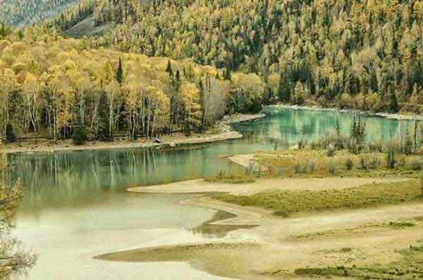 深圳殺蟲公司給你最專業(yè)的殺蟲服務(wù)