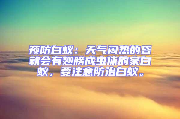 預防白蟻：天氣悶熱的昏就會有翅膀成蟲體的家白蟻，要注意防治白蟻。