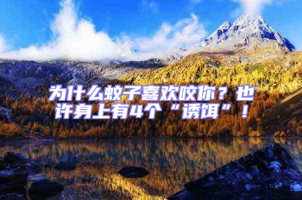 為什么蚊子喜歡咬你？也許身上有4個“誘餌”！