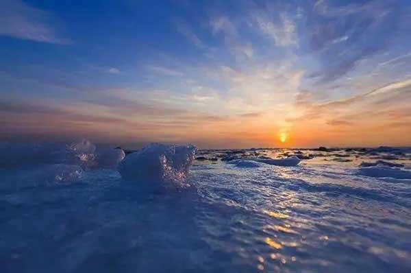 企業選擇殺蟲公司的必要性有哪些