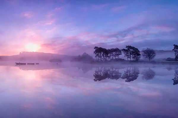 蚊類的化學防治方法是什么？