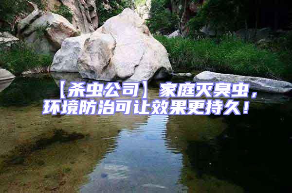 【殺蟲公司】家庭滅臭蟲，環(huán)境防治可讓效果更持久！