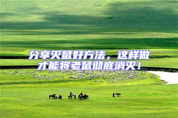 分享滅鼠好方法，這樣做才能將老鼠徹底消滅！