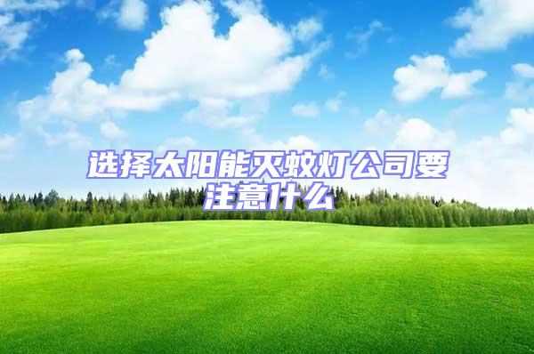 選擇太陽能滅蚊燈公司要注意什么
