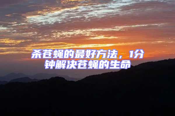 殺蒼蠅的最好方法，1分鐘解決蒼蠅的生命