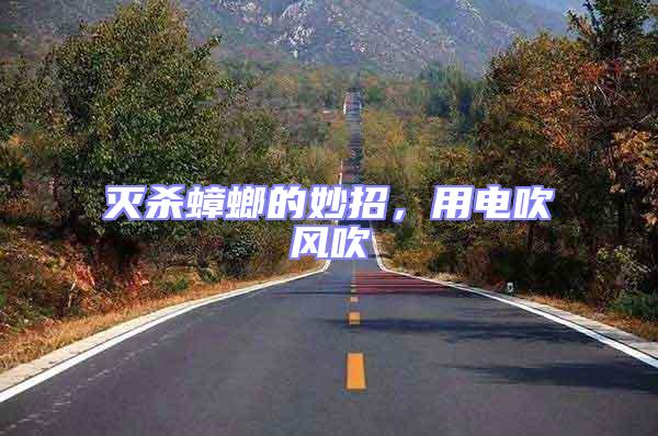 滅殺蟑螂的妙招，用電吹風吹