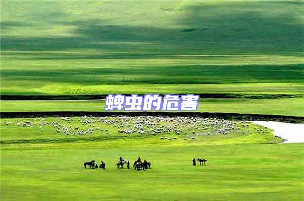 蜱蟲(chóng)的危害