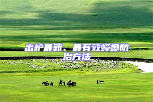 出爐最新、最有效蟑螂防治方法