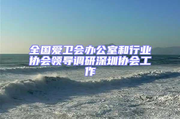 全國愛衛(wèi)會辦公室和行業(yè)協(xié)會領導調研深圳協(xié)會工作