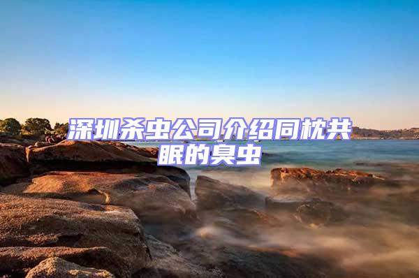 深圳殺蟲公司介紹同枕共眠的臭蟲