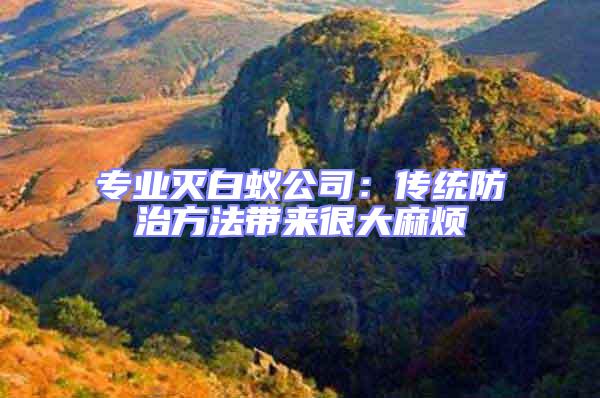 專業(yè)滅白蟻公司：傳統(tǒng)防治方法帶來(lái)很大麻煩