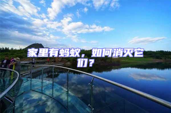 家里有螞蟻，如何消滅它們？