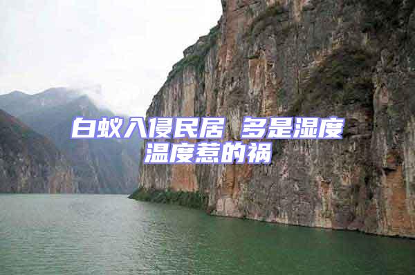 白蟻入侵民居 多是濕度溫度惹的禍