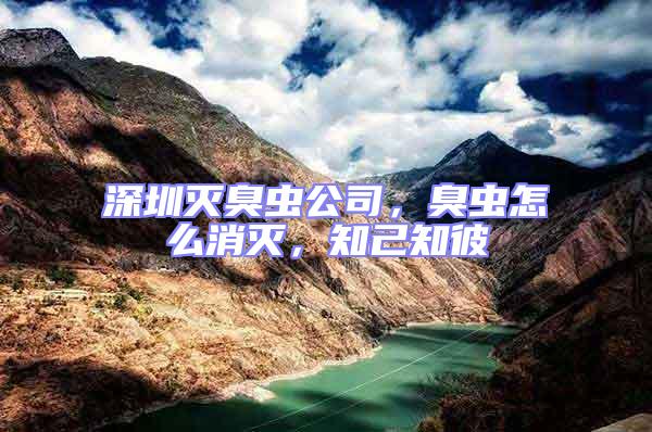 深圳滅臭蟲公司，臭蟲怎么消滅，知己知彼