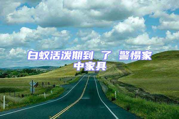 白蟻活潑期到 了 警惕家中家具