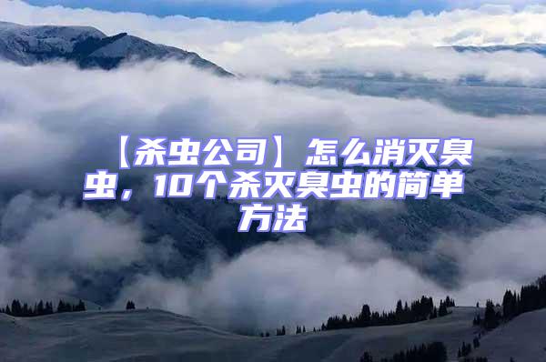 【殺蟲公司】怎么消滅臭蟲，10個殺滅臭蟲的簡單方法