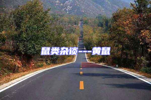 鼠類(lèi)雜談---黃鼠