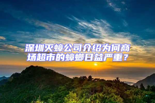 深圳滅蟑公司介紹為何商場超市的蟑螂日益嚴重？