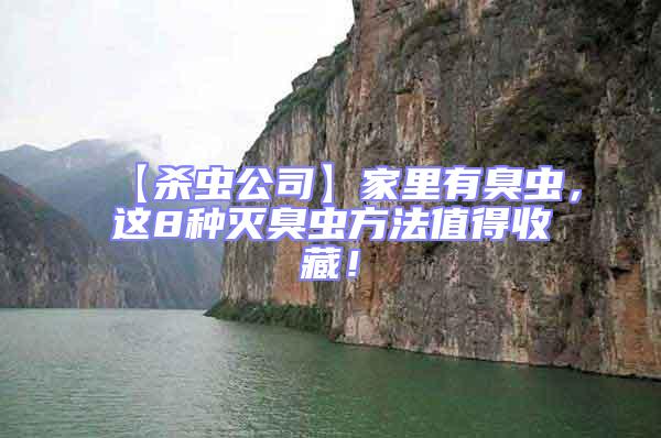 【殺蟲公司】家里有臭蟲，這8種滅臭蟲方法值得收藏！