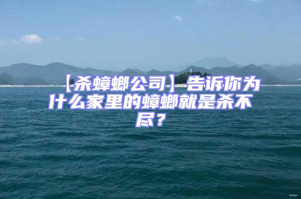 【殺蟑螂公司】告訴你為什么家里的蟑螂就是殺不盡？