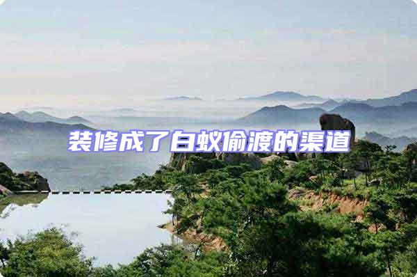 裝修成了白蟻偷渡的渠道