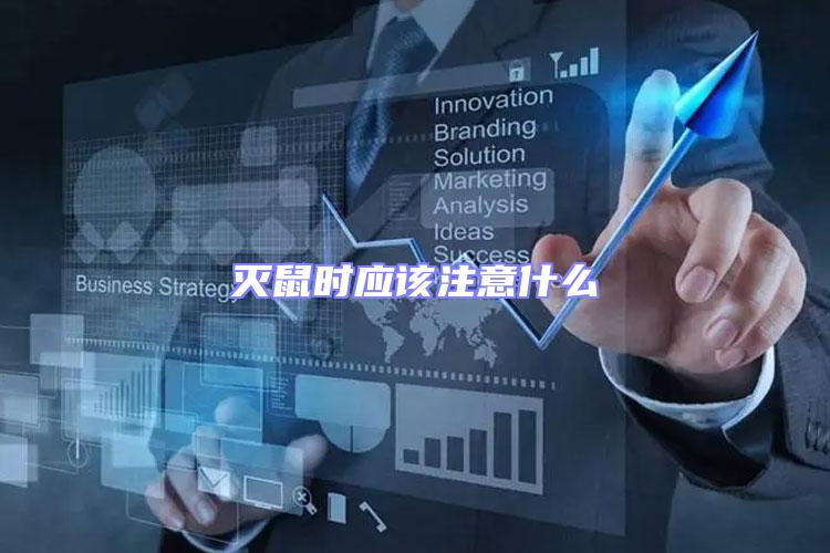 滅鼠時(shí)應(yīng)該注意什么