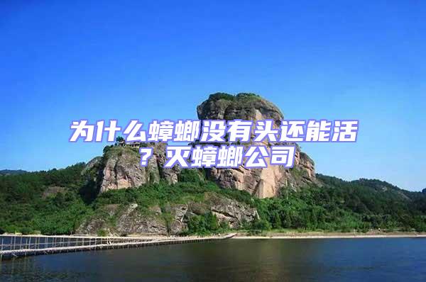 為什么蟑螂沒有頭還能活？滅蟑螂公司