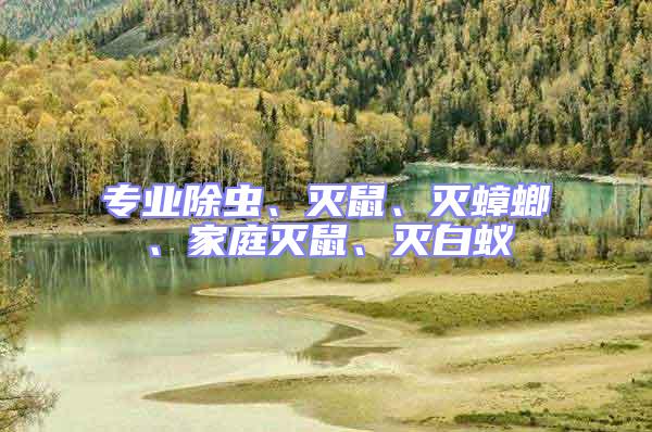 專業除蟲、滅鼠、滅蟑螂、家庭滅鼠、滅白蟻