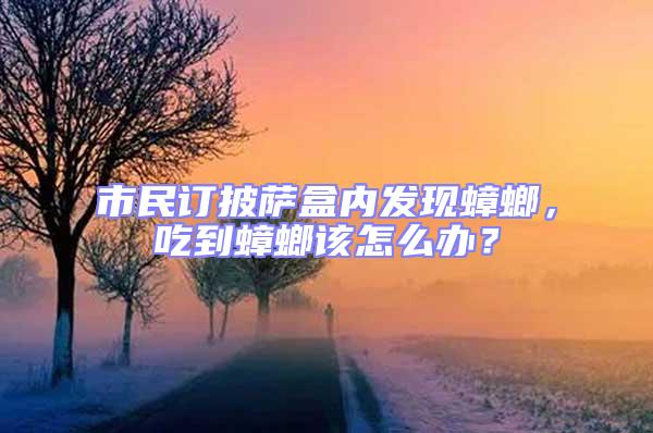 市民訂披薩盒內(nèi)發(fā)現(xiàn)蟑螂，吃到蟑螂該怎么辦？