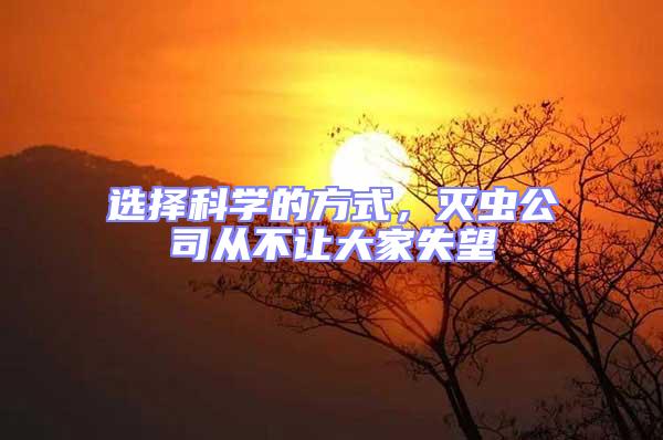 選擇科學(xué)的方式，滅蟲公司從不讓大家失望