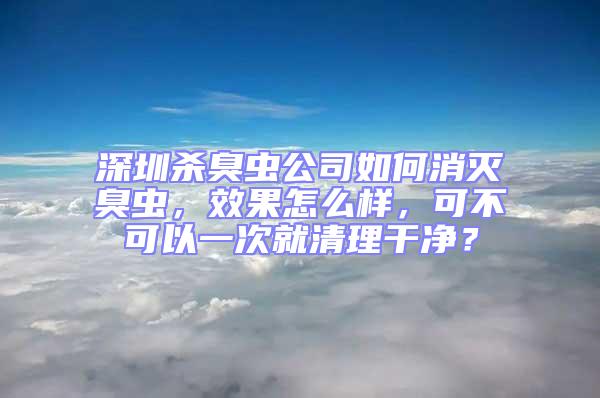 深圳殺臭蟲公司如何消滅臭蟲，效果怎么樣，可不可以一次就清理干凈？