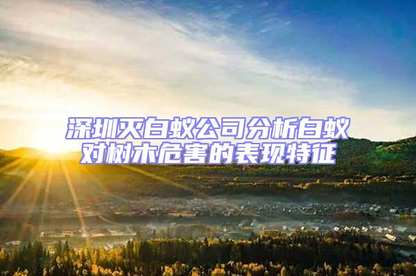 深圳滅白蟻公司分析白蟻對(duì)樹木危害的表現(xiàn)特征