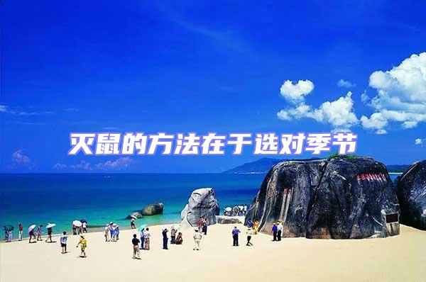 滅鼠的方法在于選對季節