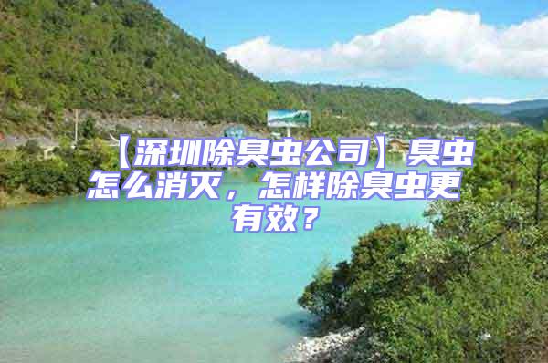 【深圳除臭蟲公司】臭蟲怎么消滅，怎樣除臭蟲更有效？