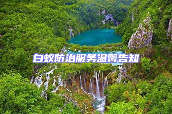 白蟻防治服務溫馨告知