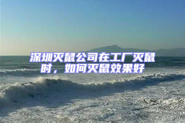 深圳滅鼠公司在工廠滅鼠時，如何滅鼠效果好