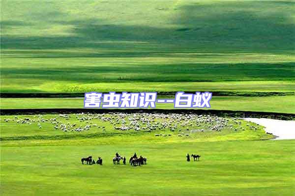 害蟲知識--白蟻