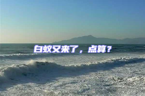 白蟻又來(lái)了，點(diǎn)算？