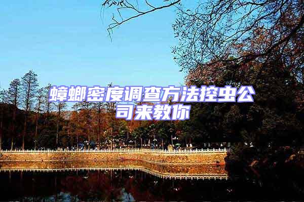 蟑螂密度調查方法控蟲公司來教你