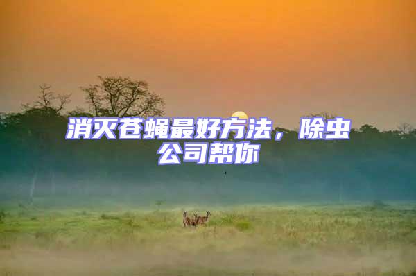 消滅蒼蠅最好方法，除蟲公司幫你