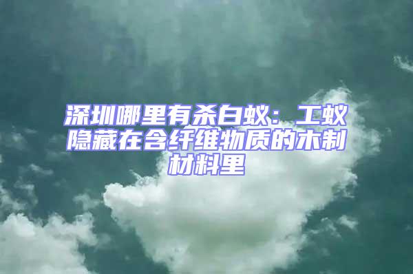 深圳哪里有殺白蟻：工蟻隱藏在含纖維物質的木制材料里