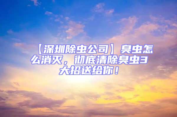 【深圳除蟲公司】臭蟲怎么消滅，徹底清除臭蟲3大招送給你！