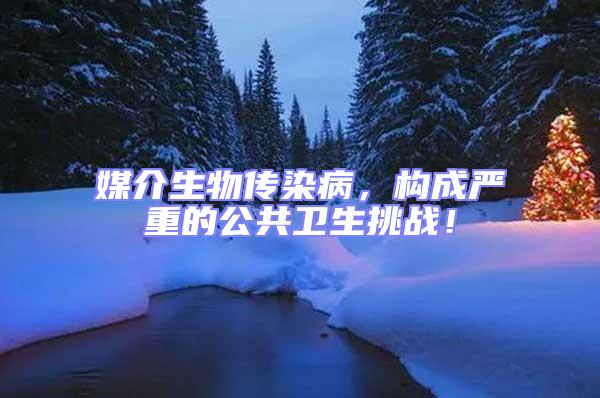 媒介生物傳染病，構(gòu)成嚴(yán)重的公共衛(wèi)生挑戰(zhàn)！