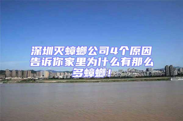 深圳滅蟑螂公司4個(gè)原因告訴你家里為什么有那么多蟑螂！