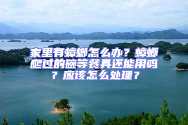 家里有蟑螂怎么辦？蟑螂爬過的碗等餐具還能用嗎？應該怎么處理？
