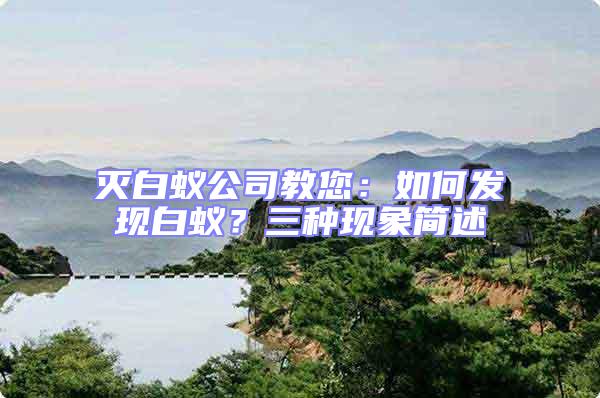 滅白蟻公司教您：如何發現白蟻？三種現象簡述