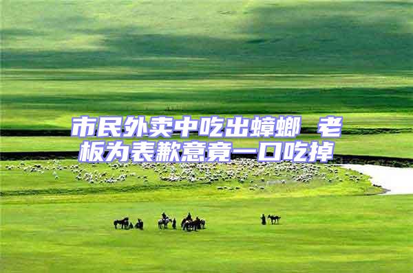 市民外賣(mài)中吃出蟑螂 老板為表歉意竟一口吃掉